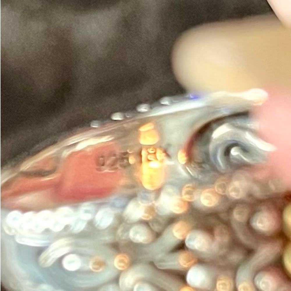 Beautiful, Barbara Bixby Sterling Silver/18K Garnet Ring - Picture 6 of 7